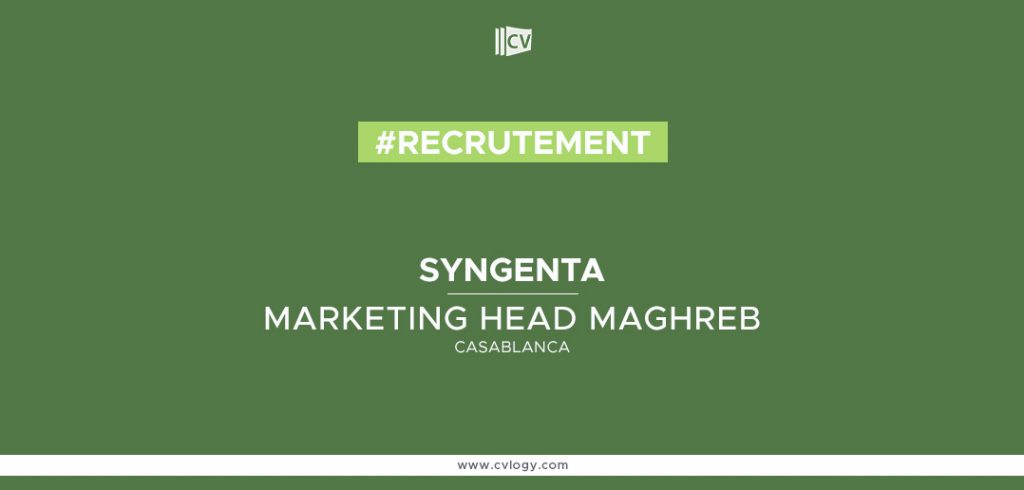 Marketing Head Maghreb