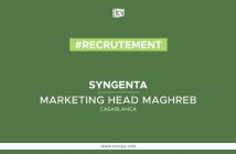 Marketing Head Maghreb