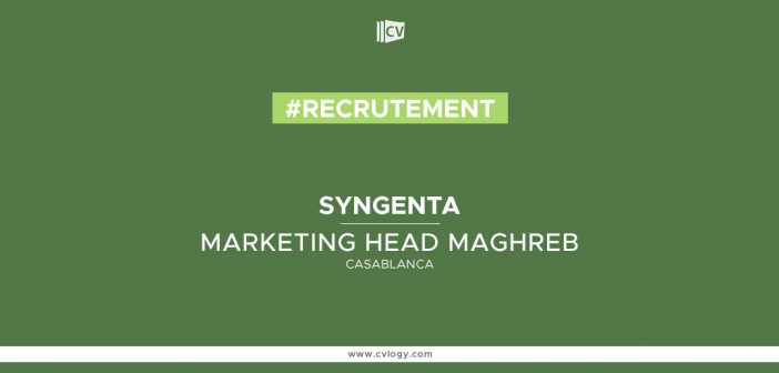 Marketing Head Maghreb