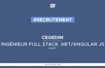 Ingénieur Full stack .NET/Angular Js