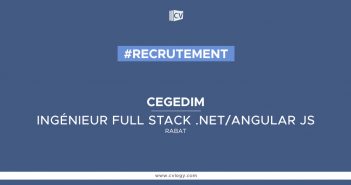 Ingénieur Full stack .NET/Angular Js