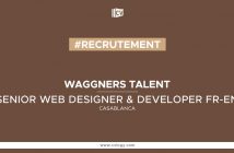 SENIOR WEB DESIGNER & DEVELOPER FR-EN