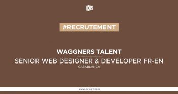 SENIOR WEB DESIGNER & DEVELOPER FR-EN