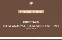 Data Analyst- Data Scientist (H/F)