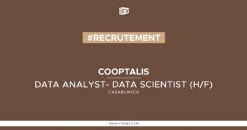 Data Analyst- Data Scientist (H/F)