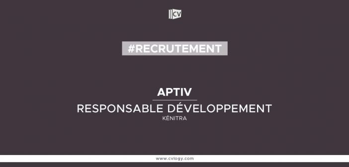 Responsable-Développement