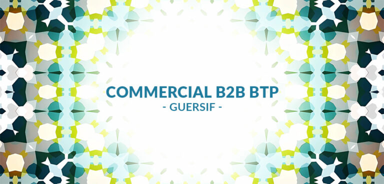 recrutement Commercial B2B BTP à Guersif