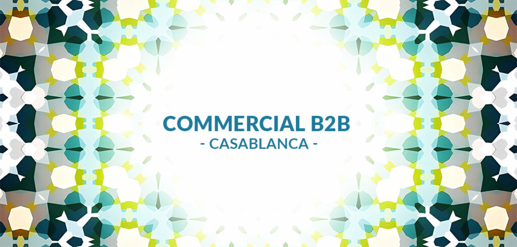 recrutement Commercial(e) B2B à Casablanca