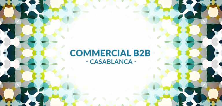 recrutement Commercial(e) B2B à Casablanca