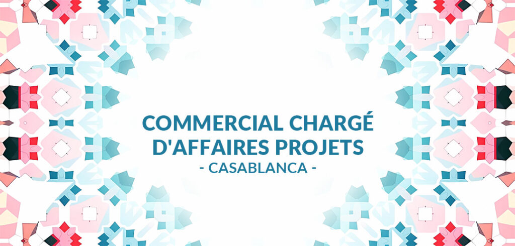 recrute Commercial / Chargé(e) d'Affaires Projets