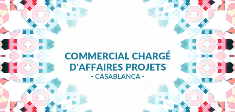 recrute Commercial / Chargé(e) d'Affaires Projets