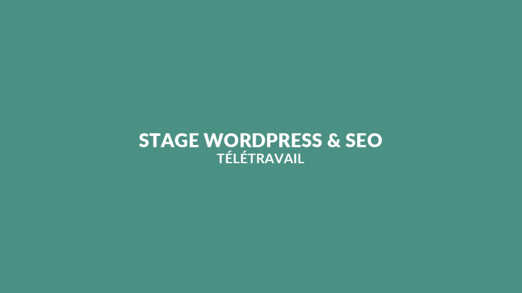 Ecomgrowth Offre un Stage WordPress & SEO (Télétravail) Ecomgrowth Offre un Stage WordPress & SEO (Télétravail)