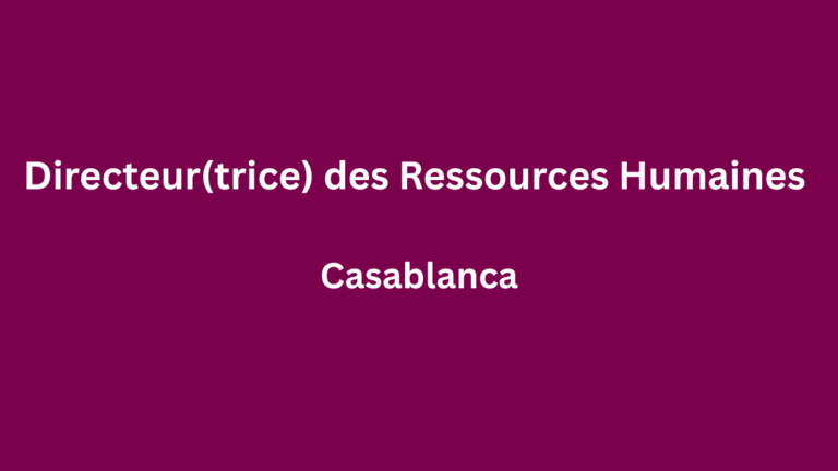 Punch By Badr Hari recrute Directeur(trice) des Ressources Humaines à Casablanca